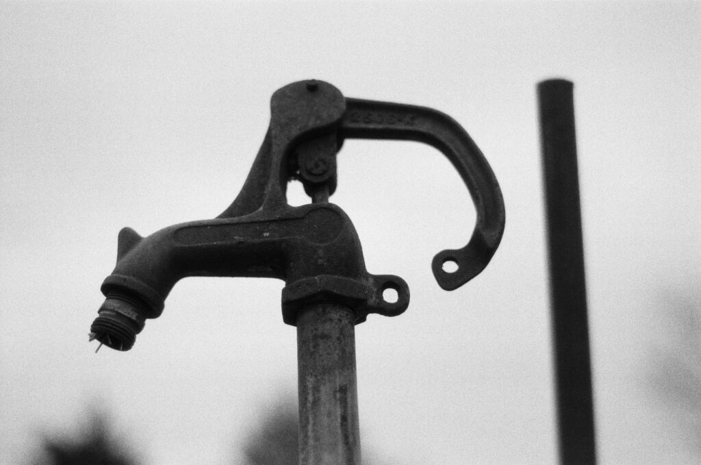Black and white photo of yard hydrant head